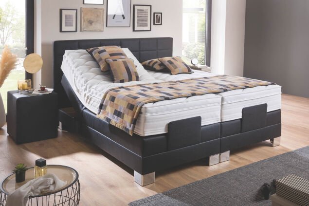 Frankenstolz schwarz 10100 19