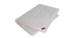 HEFEL Wellness Zirbe Decke web ScaleWidthWzE5MjBd