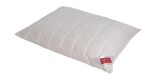 HEFEL Wellness Zirbe Kissen web ScaleWidthWzE5MjBd