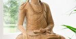 Budda Love 1 web ScaleWidthWzE5MjBd